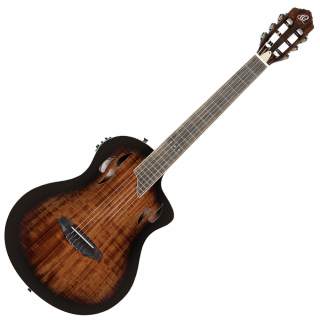 Ortega RTPDLX-ACA TourPlayer DeLuxe