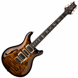 PRS Special Semi-Hollow Black Gold Wraparound Burst