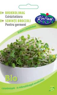 Brokkoli mag - Bio csíra - Csíráztatás