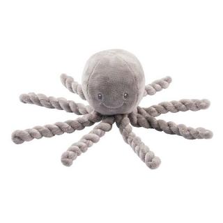 Lapidou polip grey