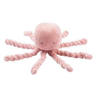 Lapidou polip pink