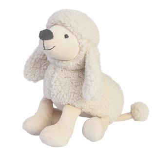 Peter poodle kutyus