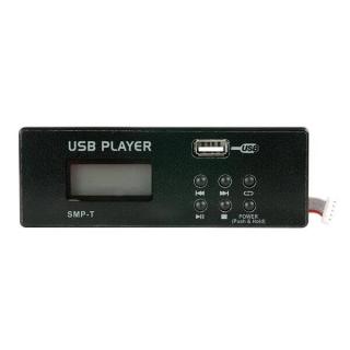 MP3 USB play module for GIG