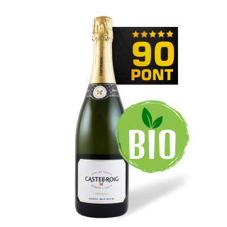 Castellroig Reserva Brut Nature 2020 (BIO) - Sabaté i Coca - 90 pont ***** (Spanyolország) (0,75l)