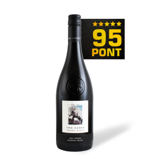 Gnarly Dudes Shiraz 2021 - Two Hands - 95 pont ***** (Ausztrália) (0,75l)