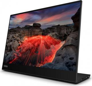 14" ThinkVision M14t IPS LED