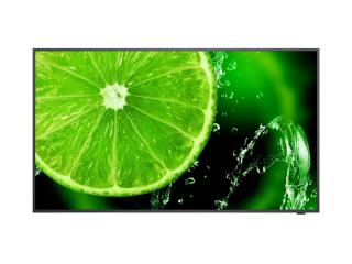 43" E438 IPS LED Display