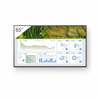 65" FW-65BZ30L IPS LED Display