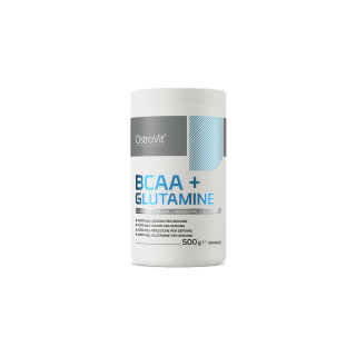 BCAA + GLUTAMINE (500 GR) ORANGE