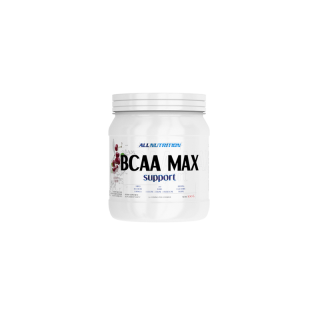 BCAA MAX SUPPORT (500 GR) APPLE