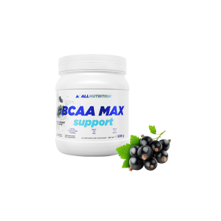 BCAA MAX SUPPORT (500 GR) BLACKCURRANT