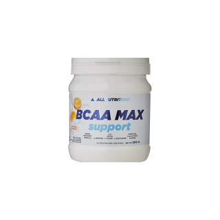 BCAA MAX SUPPORT (500 GR) ORANGE