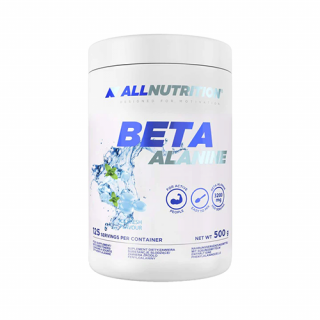 BETA-ALANINE ENDURANCE MAX (500 GR) ICE FRESH