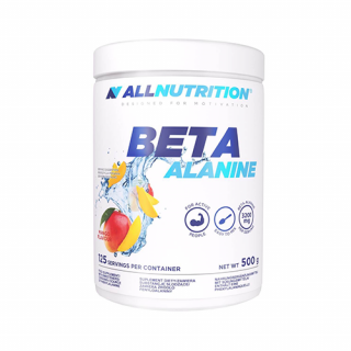 BETA-ALANINE ENDURANCE MAX (500 GR) MANGO