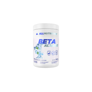 BETA-ALANINE ENDURANCE MAX (500 GRAMM) ICE FRESH