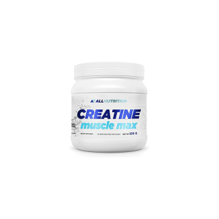 CREATINE MUSCLE MAX (250 GRAMM) NATURAL