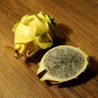 Pitaja vagy Sárkánygyümölcs (Hylocereus monocantus) | sárga termésű