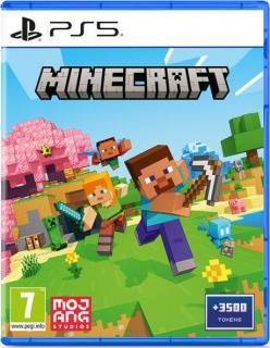 PlayStation 5 Minecraft