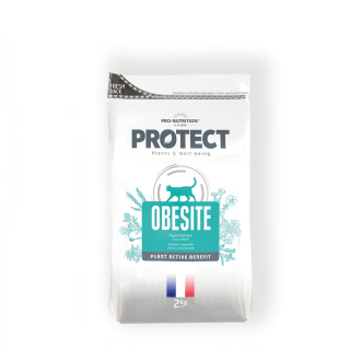 Pro-Nutrition Protect Cat Obesite (2kg)