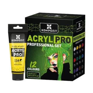 ACRYL PRO PROFESSIONAL akrilfesték készlet 12x75 ml