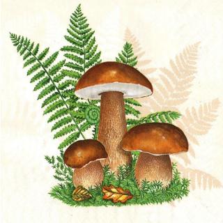 Decoupage szalvéták Boletus with Leaves of Fern - 1 db