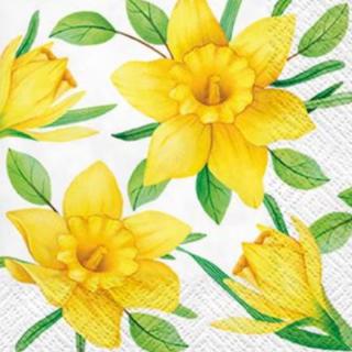 Decoupage szalvéták Daffodils in Bloom - 1 db (decoupage)