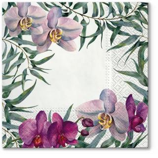 Decoupage szalvéták Elegant Orchid - 1 db (Decoupage szalvéták)