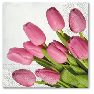 Decoupage szalvéták Lovely Tulips - 1 db (Decoupage szalvéták)