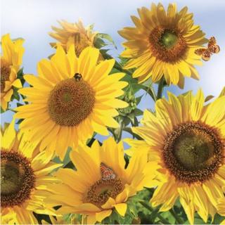 Decoupage szalvéták Sunflowers in the Sky - 1db (decoupage)