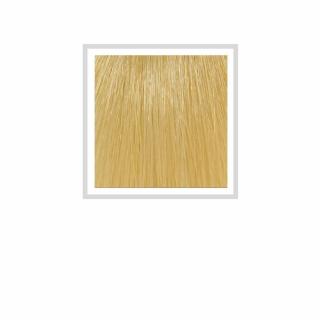 HCOLOR - 10.3 GOLDER EXTR LIGHT BLONDE 100 ML