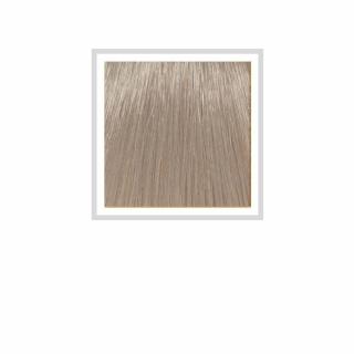 HCOLOR - 11.17 FROSTED PLATINUM 100 ML