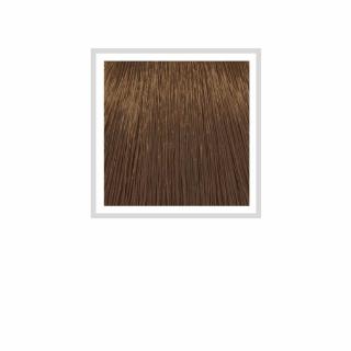 HCOLOR- 6.03 BSM MOCHA DARK BLONDE 100 ML