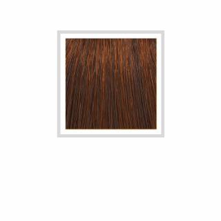 HCOLOR - 6.4 COPPERY DARK BLONDE 100 ML