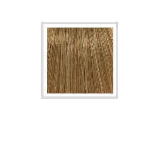 HCOLOR - 8.31 BEIGE LIGHT BLONDE 100 ML