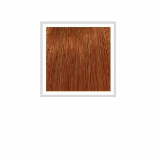 HCOLOR - 8.43 COPPER GOLDEN LIGHT BLONDE 100 ML