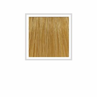 HCOLOR - 9.3 GOLDEN EXTRA LIGHT BLONDE 100 ML