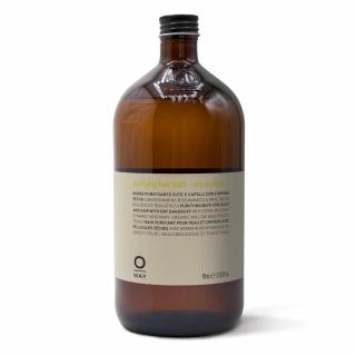 PURIFYING - TISZTÍTÓ HAJFÜRDŐ, SZÁRAZ FEJBŐR 950 ML