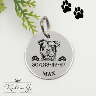 Kutyabiléta saját kutyusod nevével - staffordshire terrier 1. (3 cm-es medál) ()