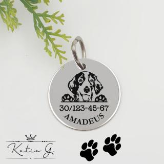 Kutyabiléta saját kutyusod nevével - welsh springer spániel (2 cm-es medál) ()