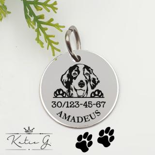 Kutyabiléta saját kutyusod nevével - welsh springer spániel (3 cm-es medál) ()