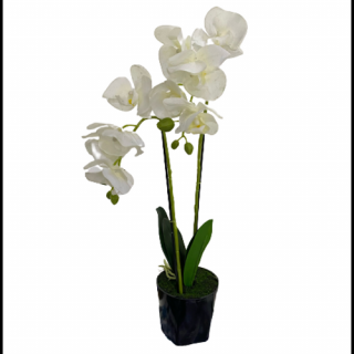 Gumi orchidea cserépben, 55 cm - MS-1009