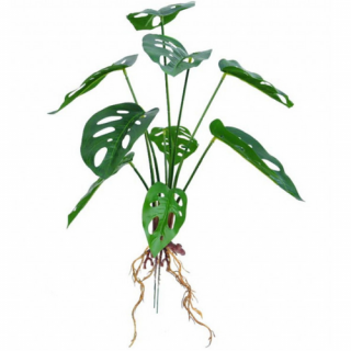 Monstera mű csokor gyökerekkel, 43 cm - MS-1013