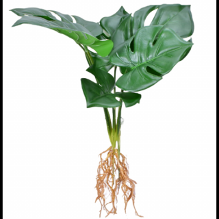 Monstera mű csokor gyökérrel 6 szárral, 42 cm - MS-1012