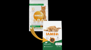 IAMS Advanced Nutrition száraz táp felnőtt macskáknak báránnyal 10Kg