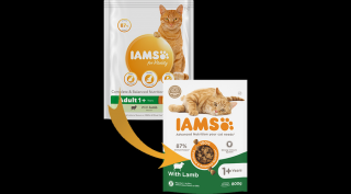 IAMS Advanced Nutrition száraz táp felnőtt macskáknak báránnyal 800g