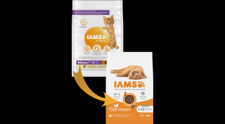 IAMS Advanced Nutrition száraz táp kifejezetten kölyökmacskáknak friss csirkével 10Kg