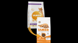 IAMS Advanced Nutrition száraz táp kifejezetten kölyökmacskáknak friss csirkével 2Kg