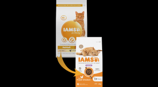 IAMS Advanced Nutrition szőrcsomó elleni száraz táp felnőtt macskáknak friss csirkével 2Kg