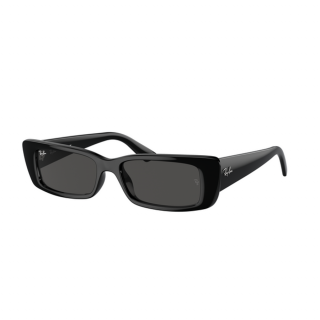 Ray-Ban Teru 0RB4425, black 667787, 54