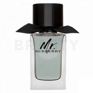 Burberry Mr. Burberry Eau de Toilette férfiaknak 100 ml